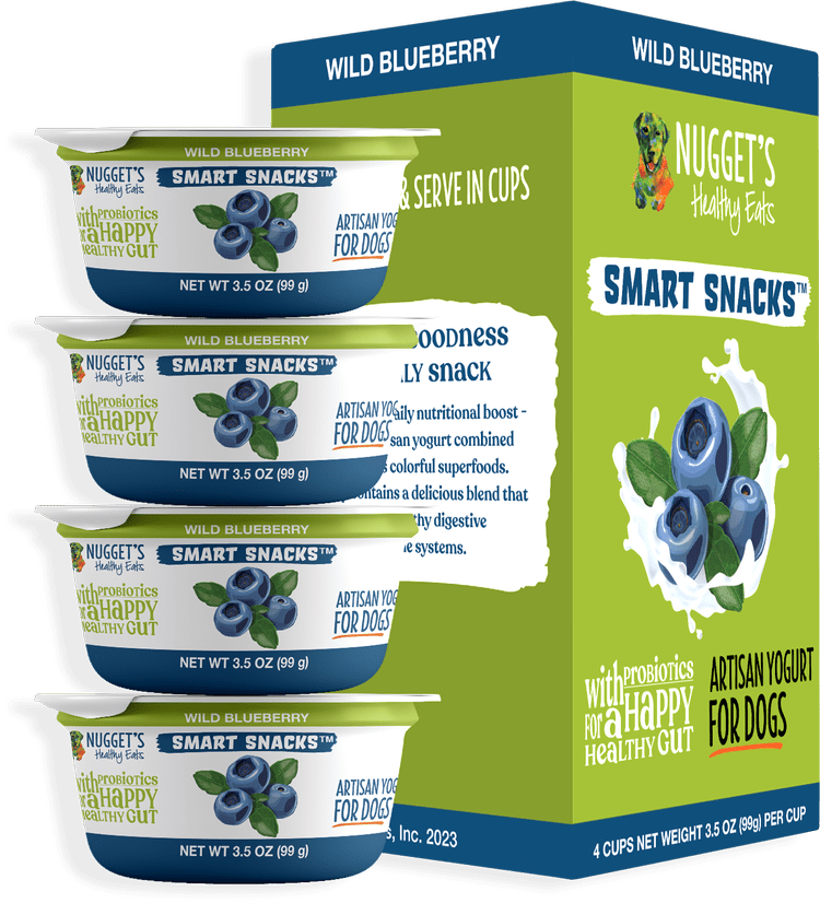 Nuggets Blueberry Frozen Yogurt, 4pk