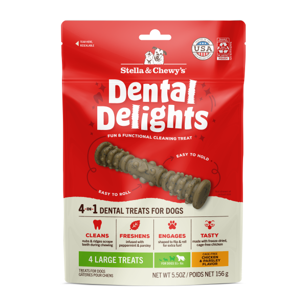 Stella & Chewy's Dental Delights Dog Treat, Large