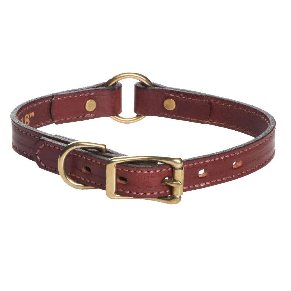 Leather Hunt Collar