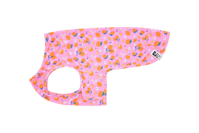 RC Pet Zephyr Cooling Vest, Zesty, L