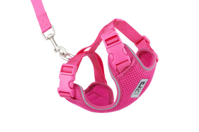RC Pet Adventure Kitty Harness, Raspberry, M