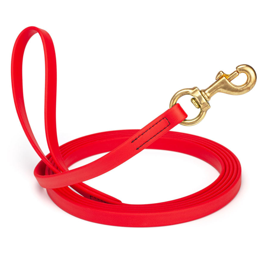 Pro-Mohs BioThane Snap Leash