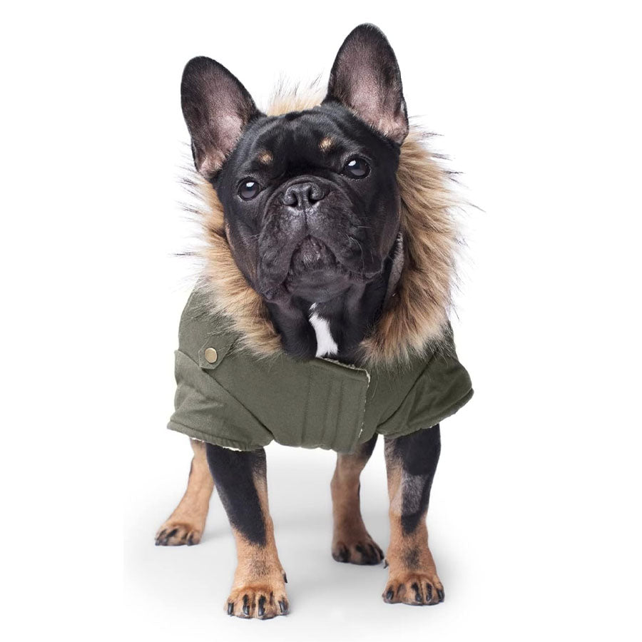 Canada Pooch Alaskan Army Parka Green, 14"