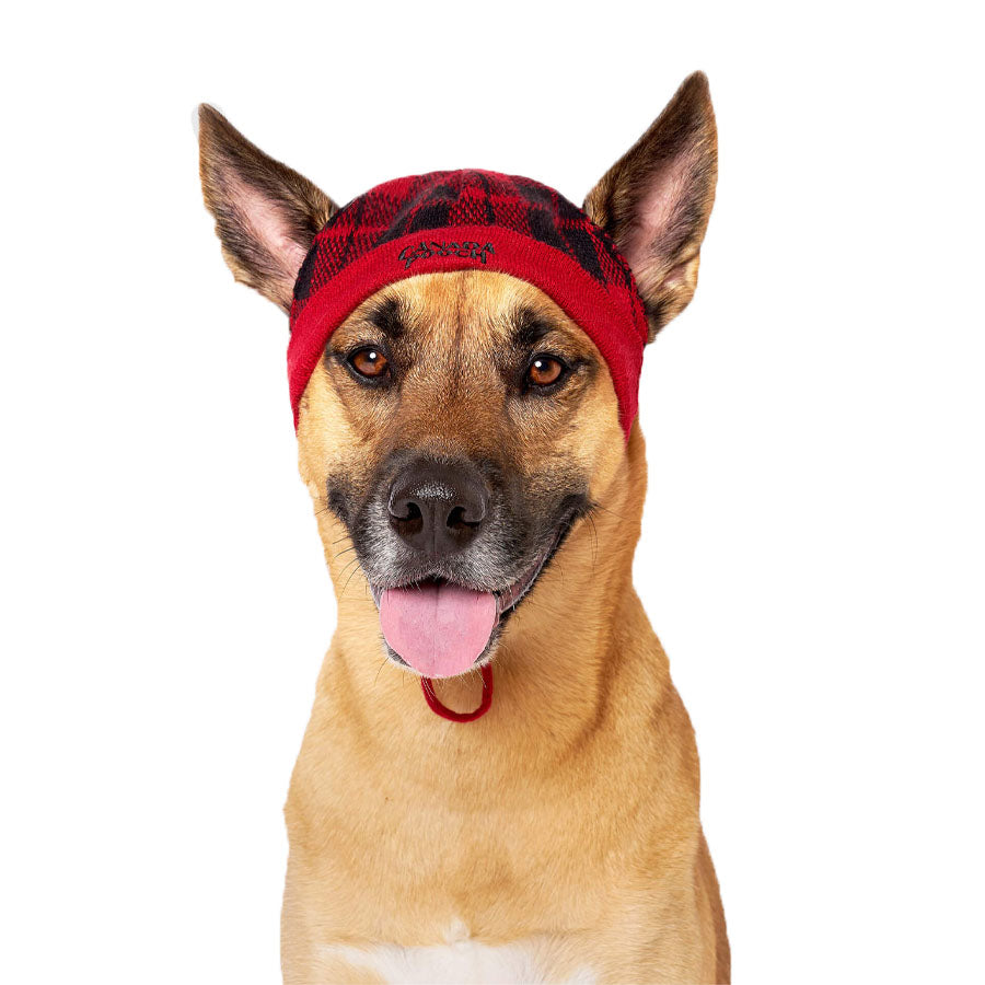Canada Pooch Red Plaid Beanie, XL