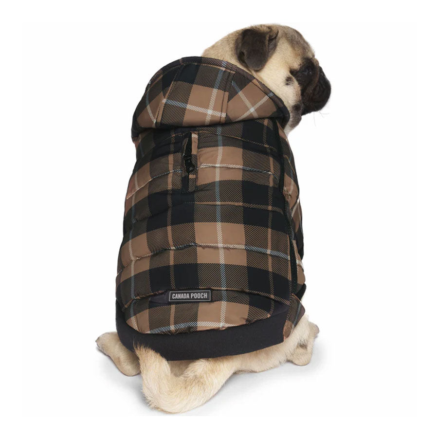 Canada Pooch Brown Plaid Prism Puffer