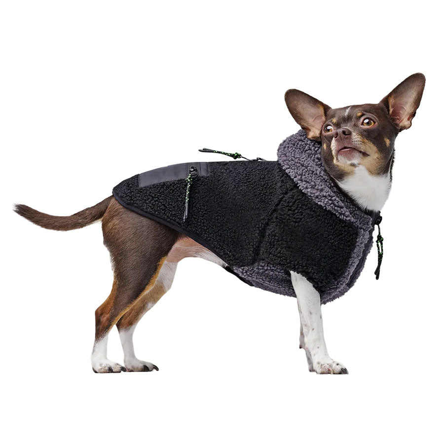 Canada Pooch Dog Cool Factor Hoodie Black/Gray