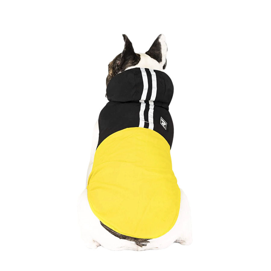 Canada Pooch Dog Pack It Jacket Black/Yellow