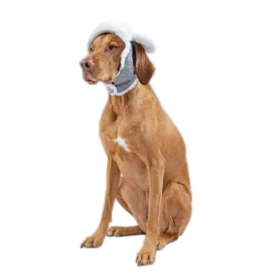 Canada Pooch Grey Artic Air Hat