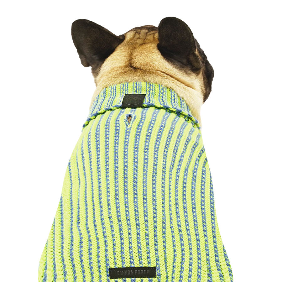Canada Pooch Icon Sweater Green/Blue
