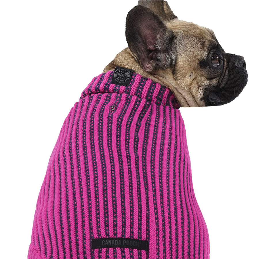 Canada Pooch Icon Sweater Pink/Navy