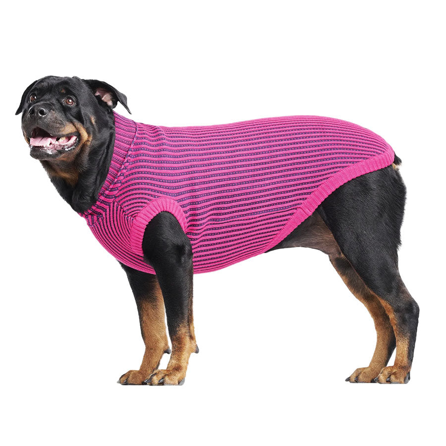 Canada Pooch Icon Sweater Pink/Navy