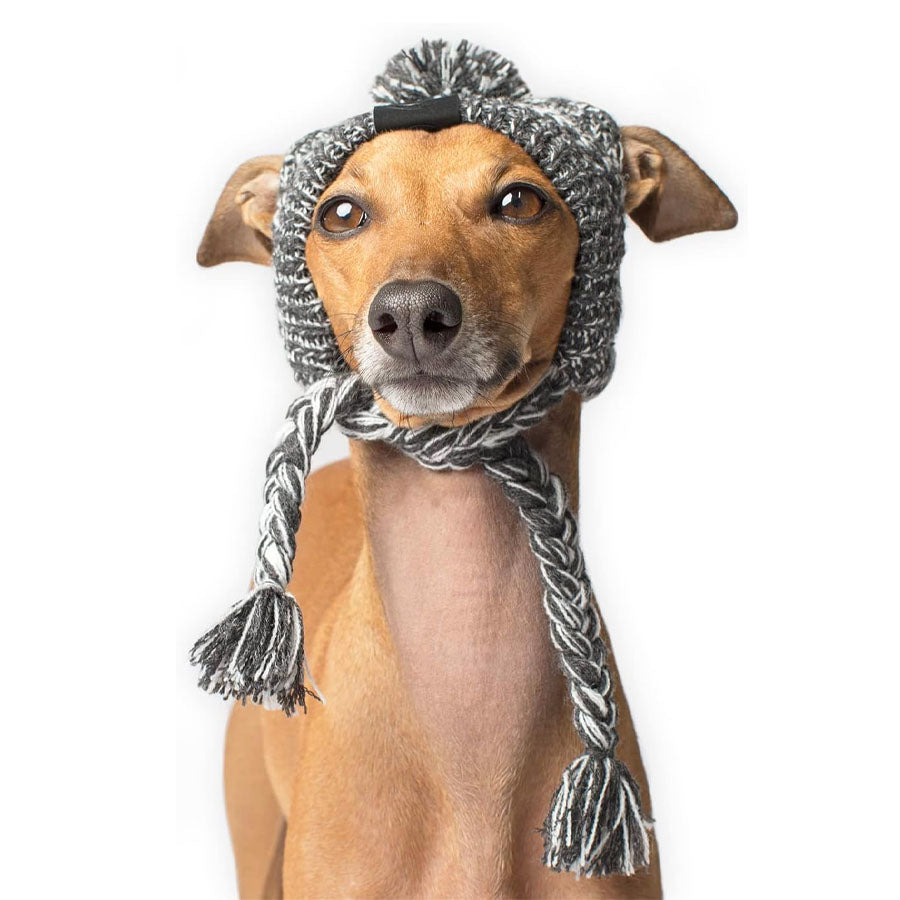 Canada Pooch Polar Charcoal Pom Pom Hat