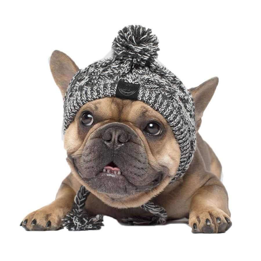 Canada Pooch Polar Charcoal Pom Pom Hat