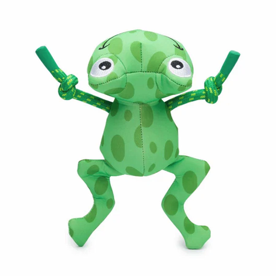 Fab Dog Floatie Frog