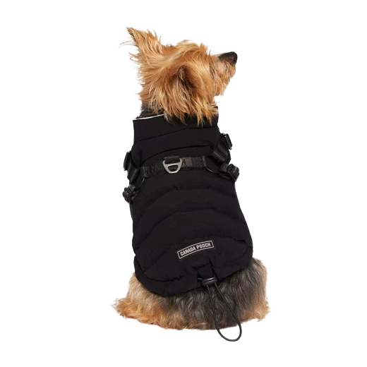 Canada Pooch Harness Puffer, Black, Size 18