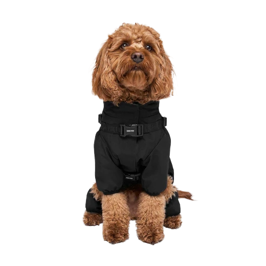 Canada Pooch Harness Snowsuit, Black, Size 28