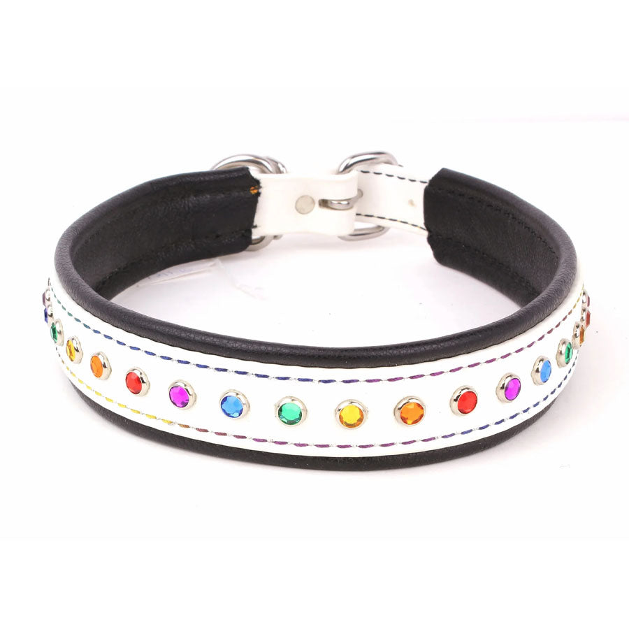 Pro-Mohs BioThane Bling Basic Collar