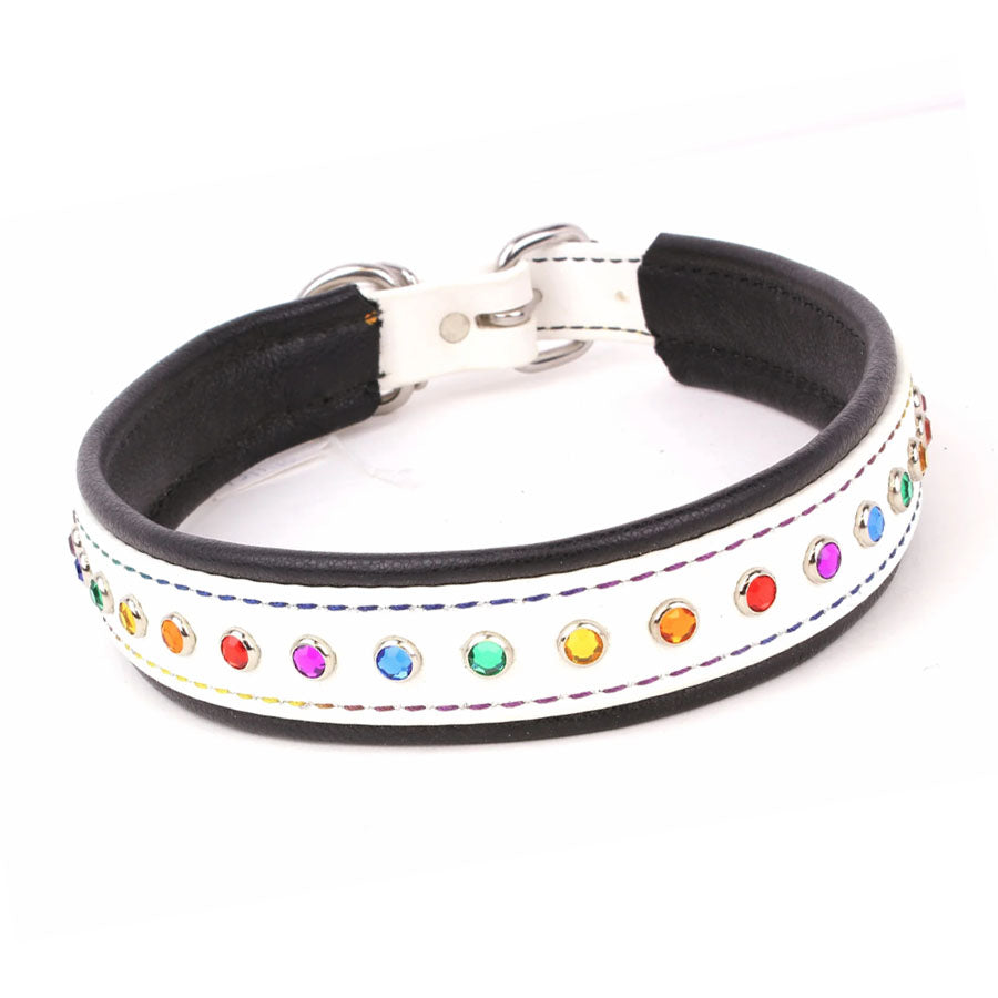 Pro-Mohs BioThane Bling Basic Collar