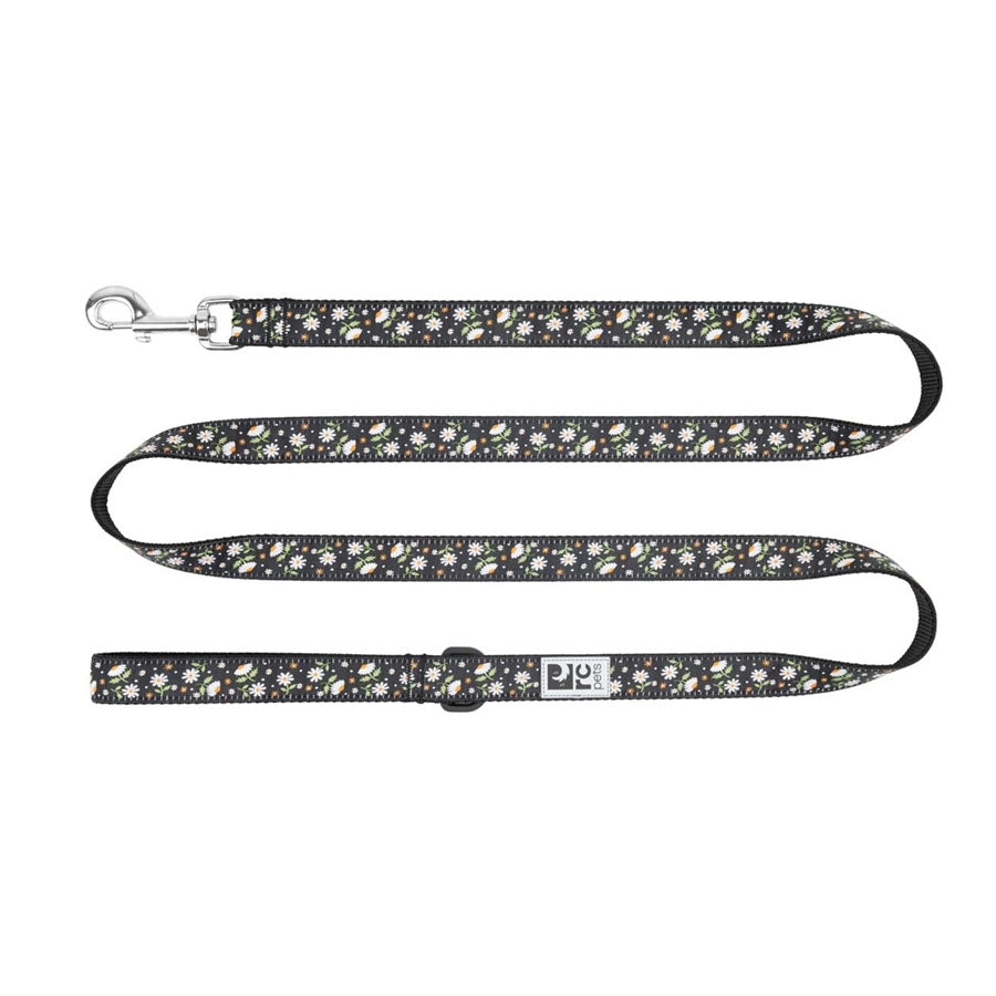 RC Pet Dog Leash 1X6