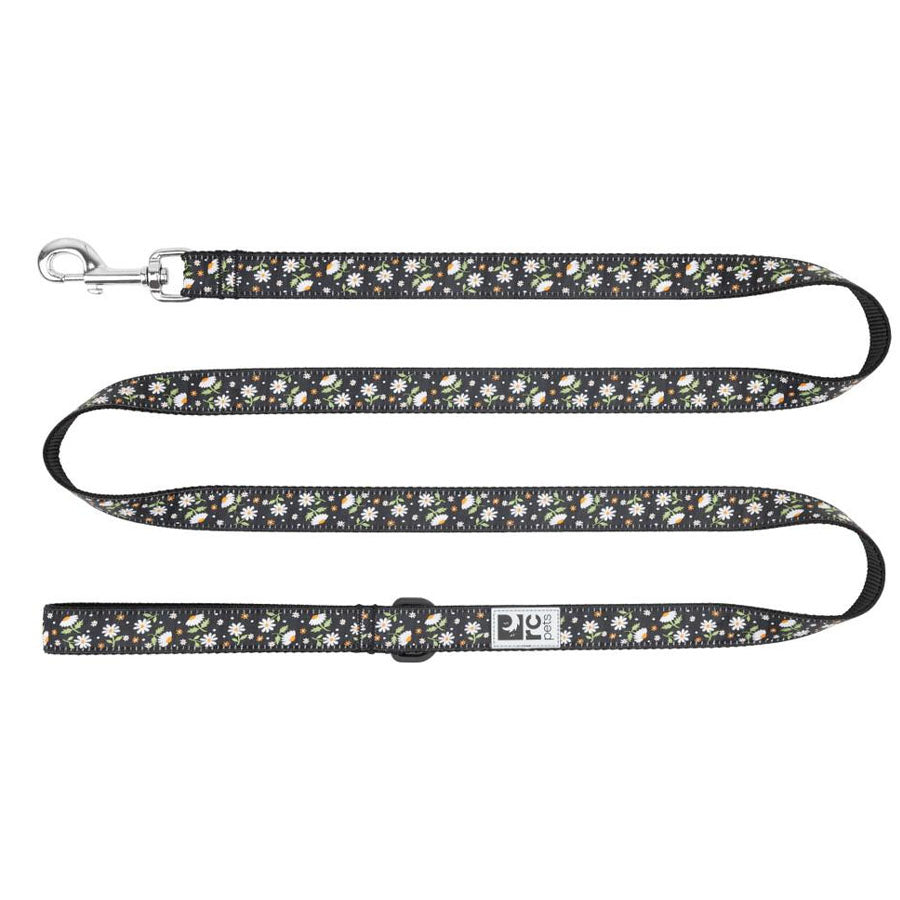 RC Pet Dog Leash 3/4X6'
