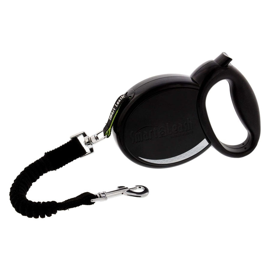 Smart Leash