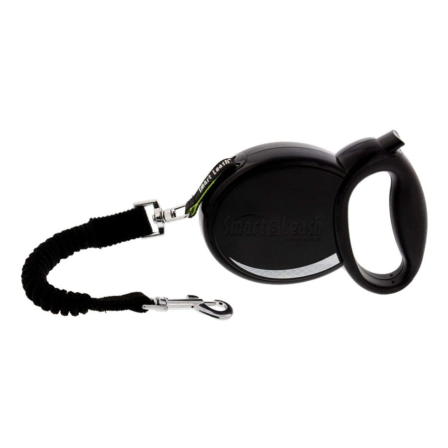 Smart Leash