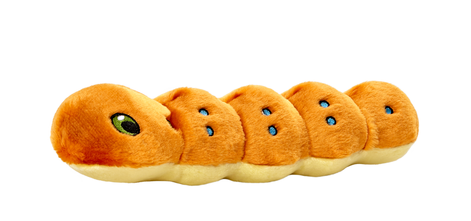 Fluff & Tuff Spicy Caterpillar Dog Toy