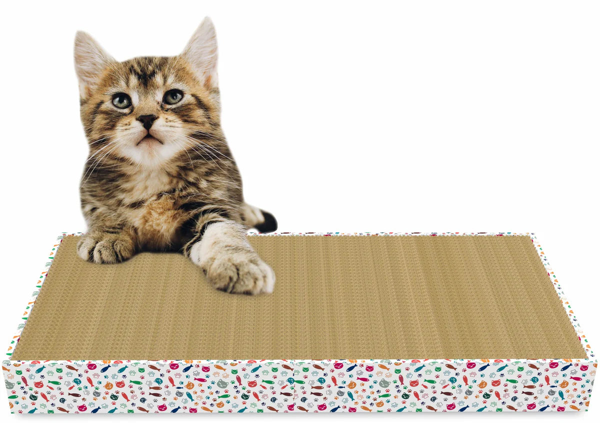 Thoozy Double Wide Tray Scratcher