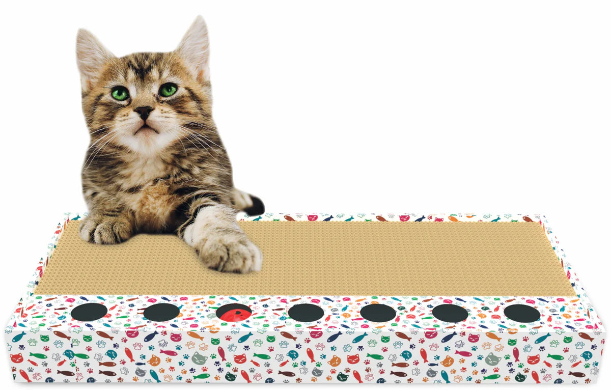 Thoozy Scratch & Play Cat Scratcher