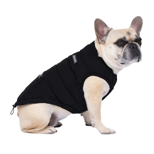 Canada Pooch Ultimate Stretch Vest, Black, Size 10