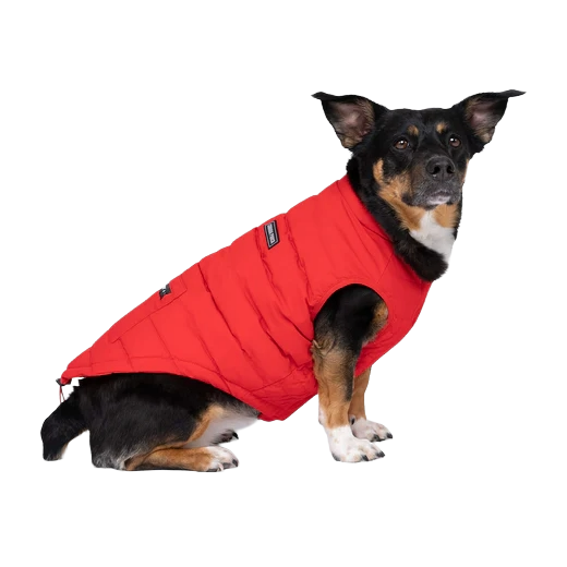 Canada Pooch Ultimate Stretch Vest, Red, Size 12