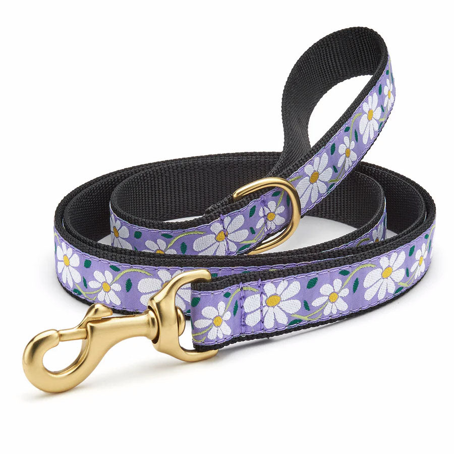 Up Country Wide Daisy Lead W/D-Ring, 5ft