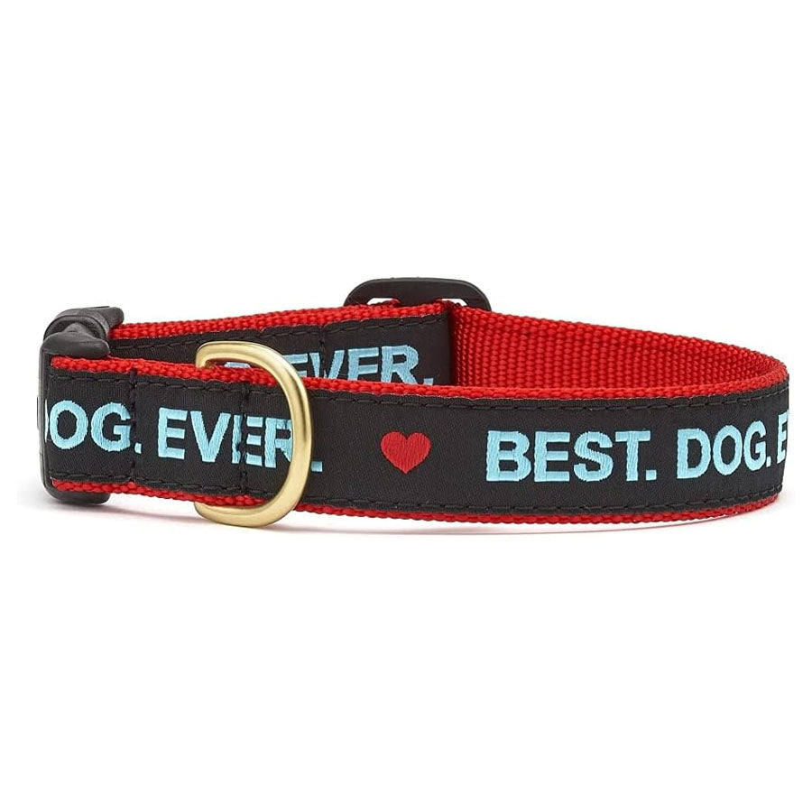 Up Country Best.Dog.Ever Collar
