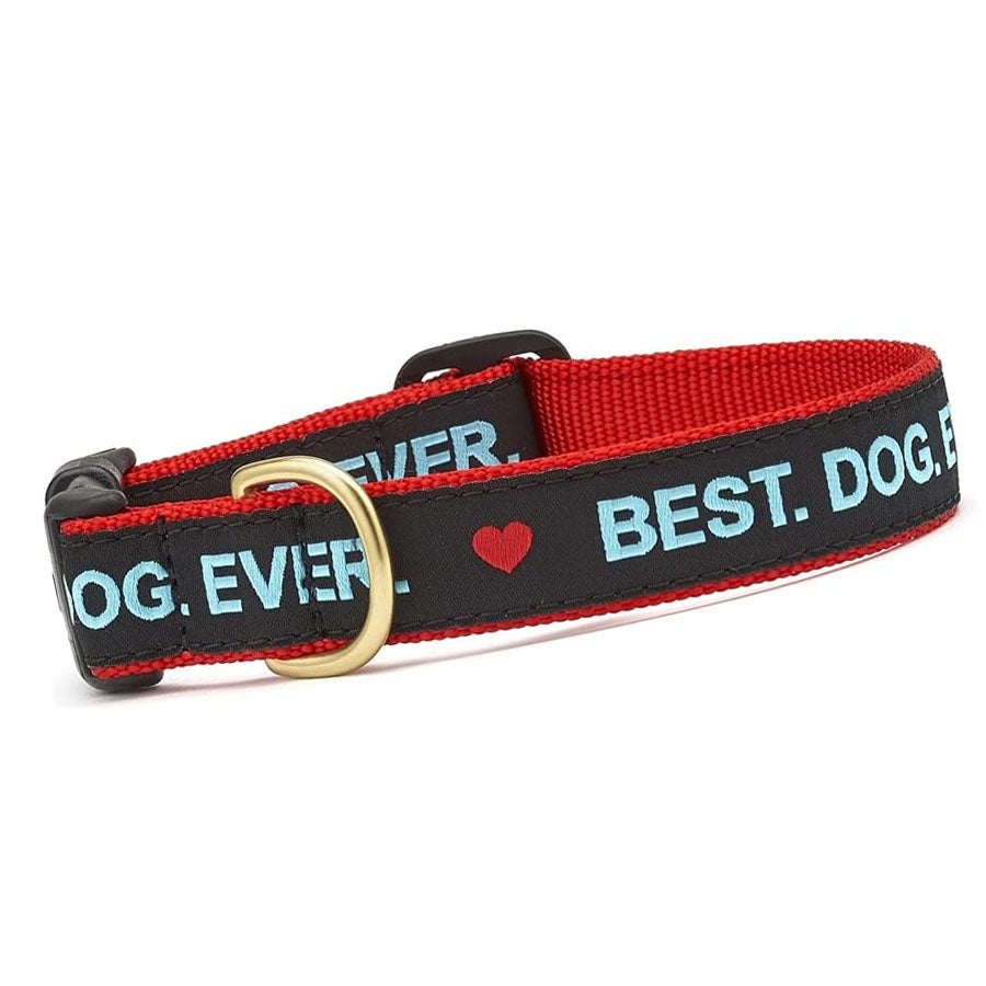 Up Country Best.Dog.Ever Collar