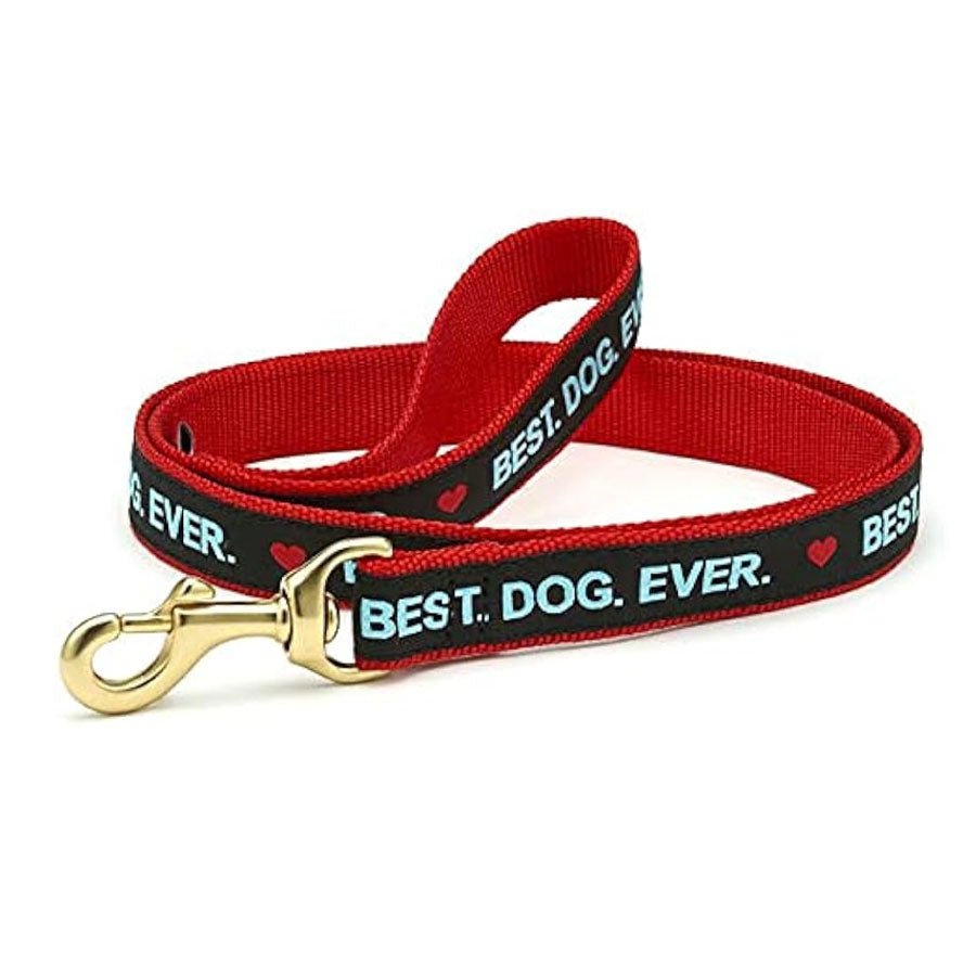 Up Country Best.Dog.Ever Collar