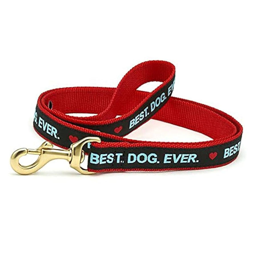 Up Country Best.Dog.Ever Collar