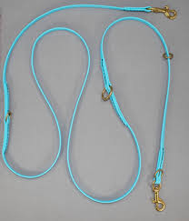 Pro-Mohs BioThane Dual Handle Leash, Teal