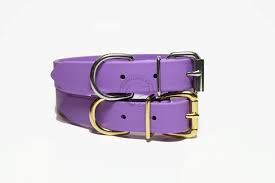 Pro-Mohs BioThane Thin Buckle Collar 1"X16-24", Purple