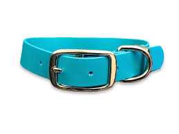 Pro-Mohs BioThane Thin Buckle Collar 1"X16-24", Teal