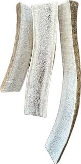 Fetchin Elk Antler, Small Sliced