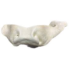 Fetchin Brands Cow Snout Puffed, L