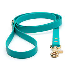 Pro-Mohs BioThane Snap Leash 5/8"X6', Teal