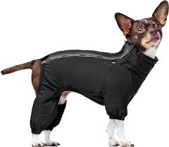 Canada Pooch Snowsuit, Black, Size 18
