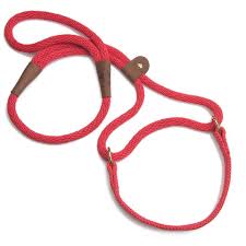 Mendota Pet Big Dog Walker Collar/Leash Sapphire, 1/2X6'