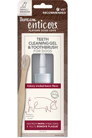 TropiClean Enticers Gel & Toothbrush Bacon, S/M