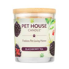 Pet House Blackberry Tea Candle, 9oz
