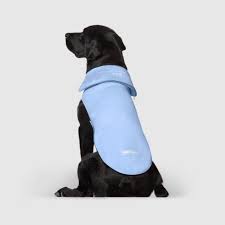 Canada Pooch Weighted Calming Vest, Blue, S