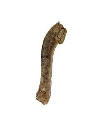 Vital Essentials Freeze Dried Duck Neck, 1 pc