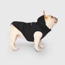 Canada Pooch Renew Jacket, Black, Size 14