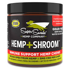 Super Snouts CBD Hemp Shroom Immune Support, 6ct